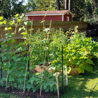 Garden Craft 24in H x 50ft L Gray Chicken Wire with 1in Openings