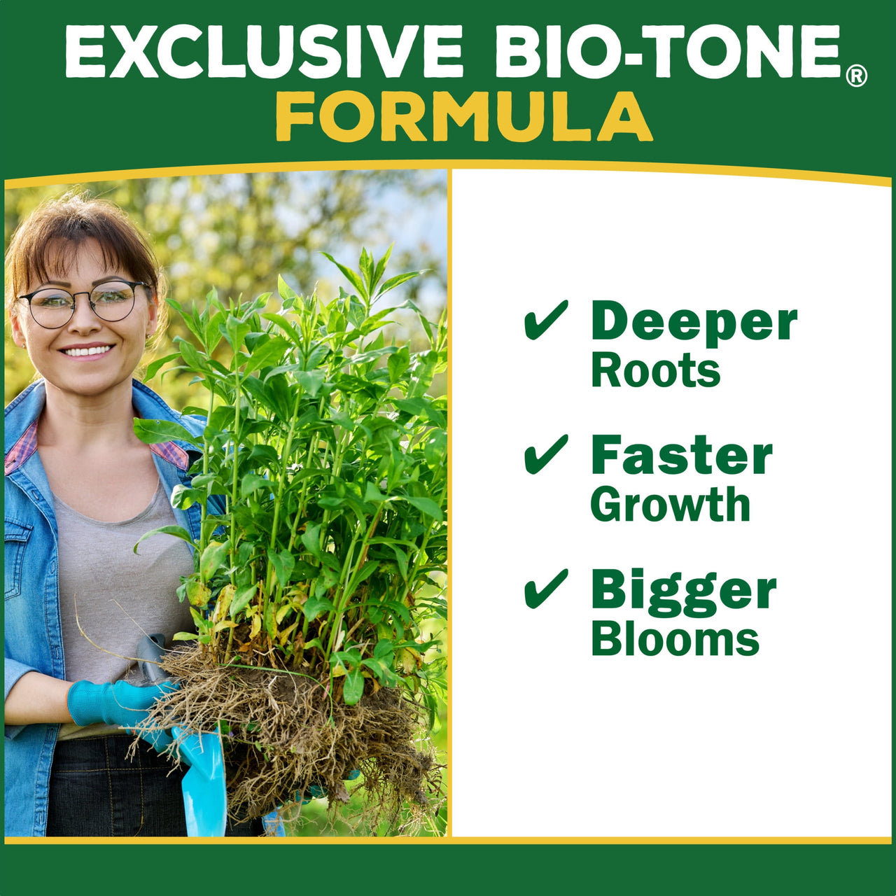 Espoma Berry Tone Natural & Organic Plant Food 4 lbs for Blueberries & Raspberries