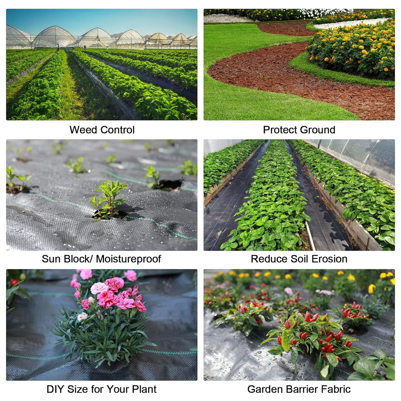 BSHAPPLUS® 3.3x50ft Weed Barrier Fabric,3.2OZ Landscape Fabric,Heavy Duty Geotextile Fabric with 12 U-Shaped Securing Pegs,Woven Ground Cover for Commercial Greenhouse,Yard,Garden Barrier Cloth