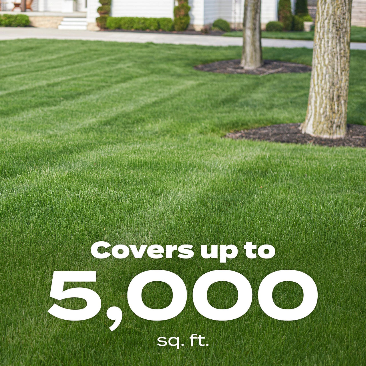 Scotts Green Max Lawn Food, Fertilizer Plus Iron Supplement, 5,000 sq. ft., 16.67 lbs.