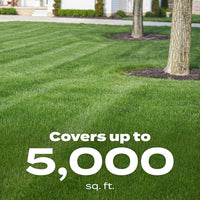 Scotts Green Max Lawn Food, Fertilizer Plus Iron Supplement, 5,000 sq. ft., 16.67 lbs.