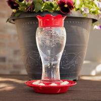 Pennington Glass Red Hummingbird Feeder, 16 oz Nectar Capacity