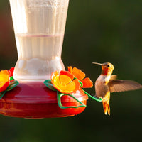 More Birds Hollyhock Hummingbird Feeder with 25 oz Nectar Capacity - Clear Plastic Design