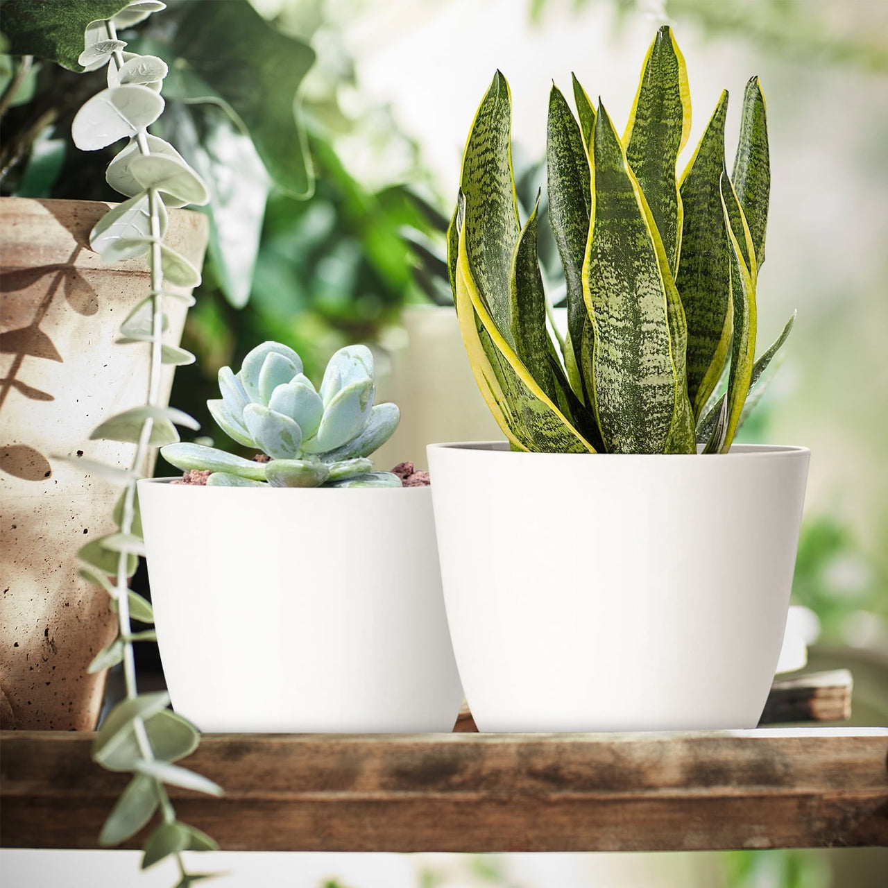 FOUKUS Set of 5 White Plastic Plant Pots with Drainage Holes and Tray - Eco-Friendly Indoor/Outdoor Flower Planters for Succulents, Cactus, Snake Plants - Sizes: 7", 6.6", 6", 5.3", 4.8"
