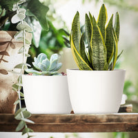 FOUKUS Set of 5 White Plastic Plant Pots with Drainage Holes and Tray - Eco-Friendly Indoor/Outdoor Flower Planters for Succulents, Cactus, Snake Plants - Sizes: 7