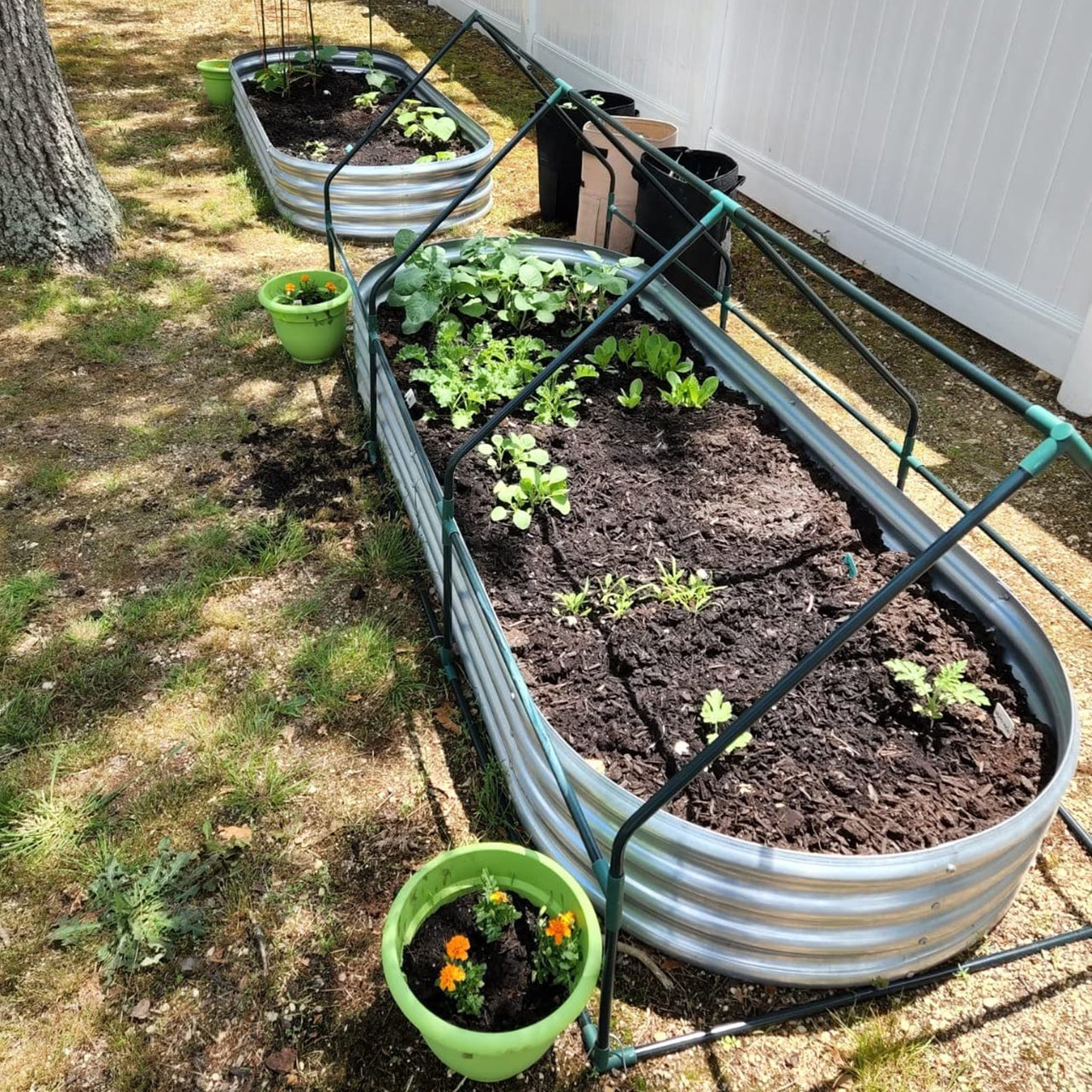 Galvanized Raised Garden Bed Kit, 3Pcs 4ft Planter Raised Garden Boxes Outdoor, Oval Metal Raised Garden Beds for Vegetables