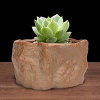 Ceramic Pot Plants Growing Pot Modern Style Planter with Drainage Hole Bonsai Plants Pot for Home Outdoor Desk Festival Decoration Style B and Large