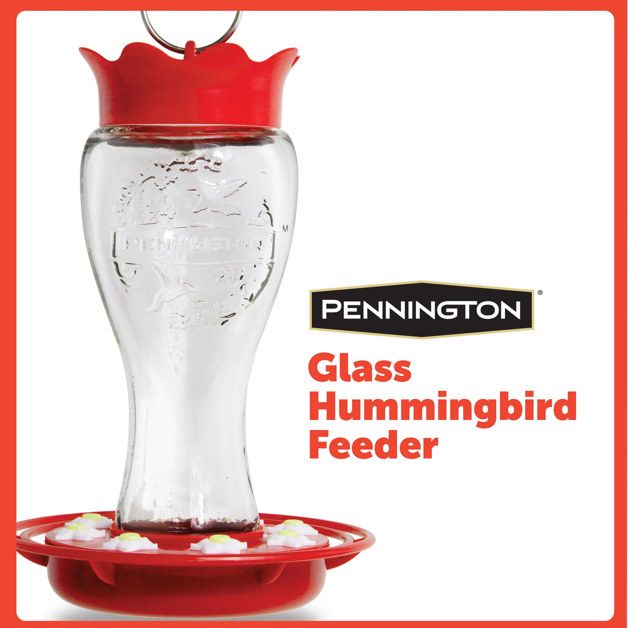 Pennington Glass Red Hummingbird Feeder, 16 oz Nectar Capacity