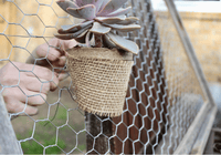 Garden Craft 24in H x 50ft L Gray Chicken Wire with 1in Openings