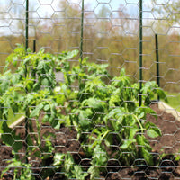 Garden Craft 24in H x 50ft L Gray Chicken Wire with 1in Openings