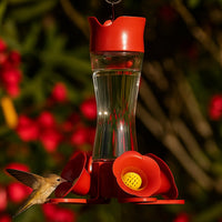 Perky-Pet Pinch-Waist Glass Hummingbird Feeder 8 oz Capacity, Red