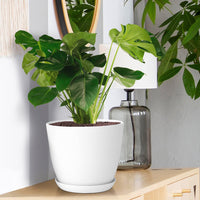 FOUKUS Set of 5 White Plastic Plant Pots with Drainage Holes and Tray - Eco-Friendly Indoor/Outdoor Flower Planters for Succulents, Cactus, Snake Plants - Sizes: 7