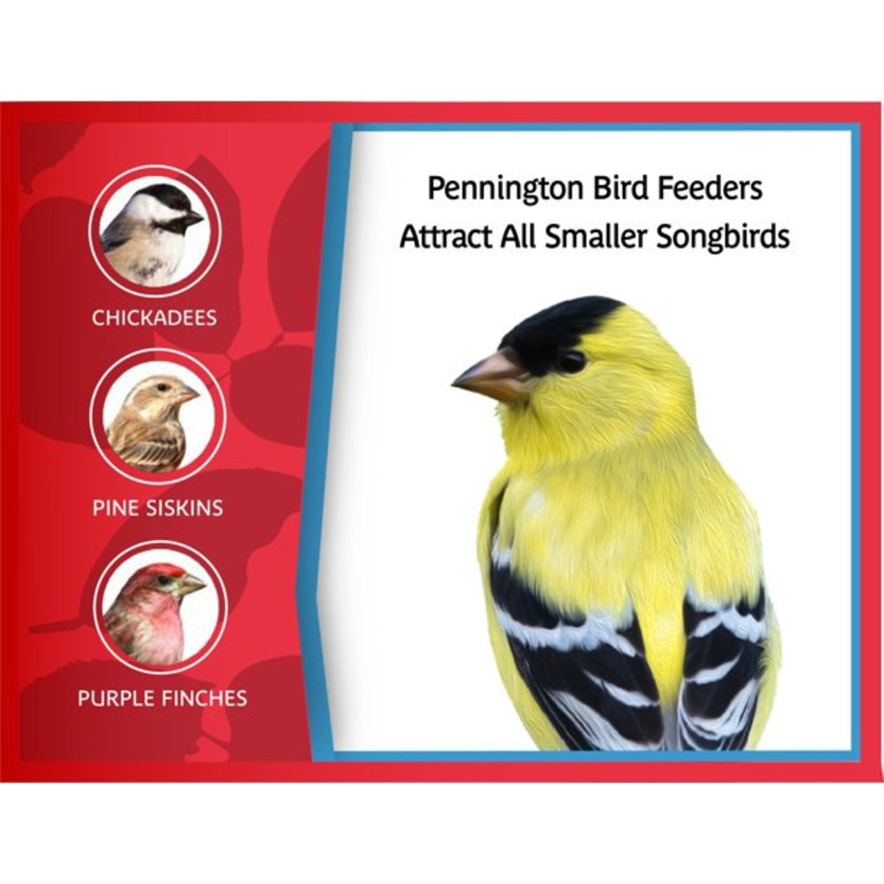 Pennington Earth Smart, Gray Plastic, Hopper Wild Bird Feeder, 2.5 lb. Capacity
