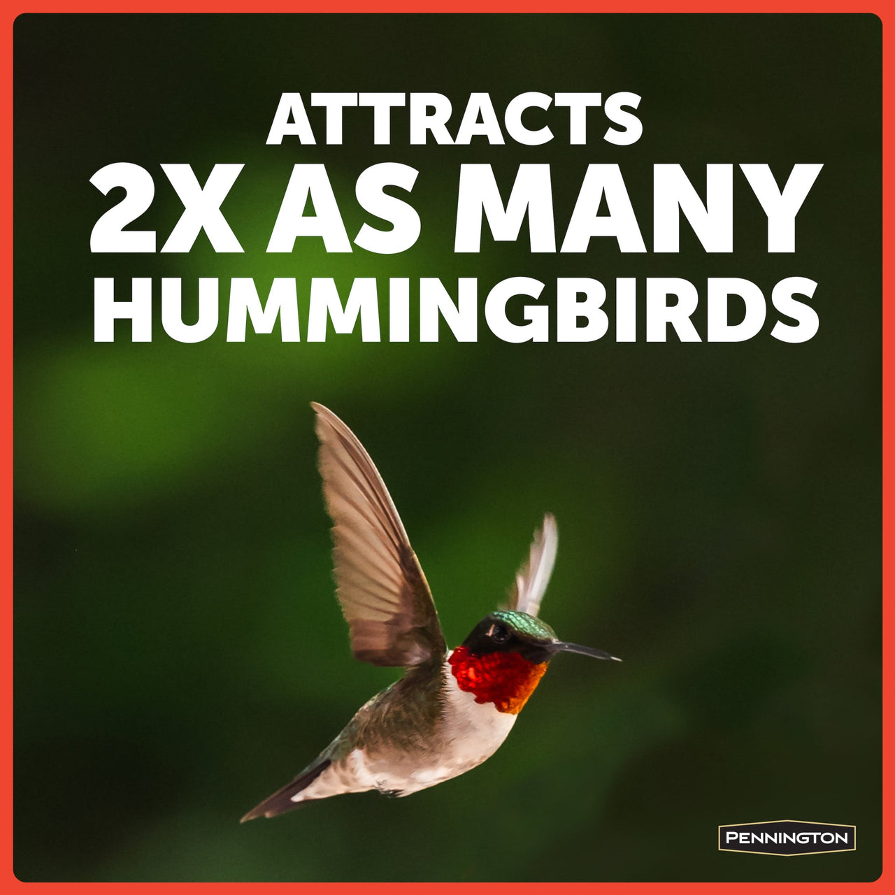 Pennington Glass Red Hummingbird Feeder, 16 oz Nectar Capacity