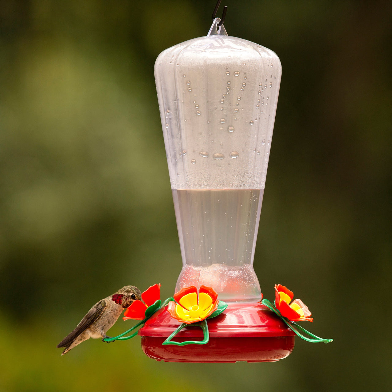 More Birds Hollyhock Hummingbird Feeder with 25 oz Nectar Capacity - Clear Plastic Design