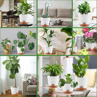 Remiawy Self Watering Plant Pots with Drainage Hole, 8/7/6.5/6/5.5/5 Inch Self Watering Planters for Indoor Outdoor Plants , White Plastic Flower Pots 6 Packs