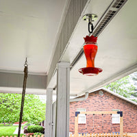 Pennington Glass Red Hummingbird Feeder, 16 oz Nectar Capacity
