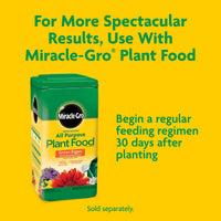 Miracle-Gro Potting Mix, For Indoor or Outdoor Potted Plants, Flowers, Shrubs, 25 qt.