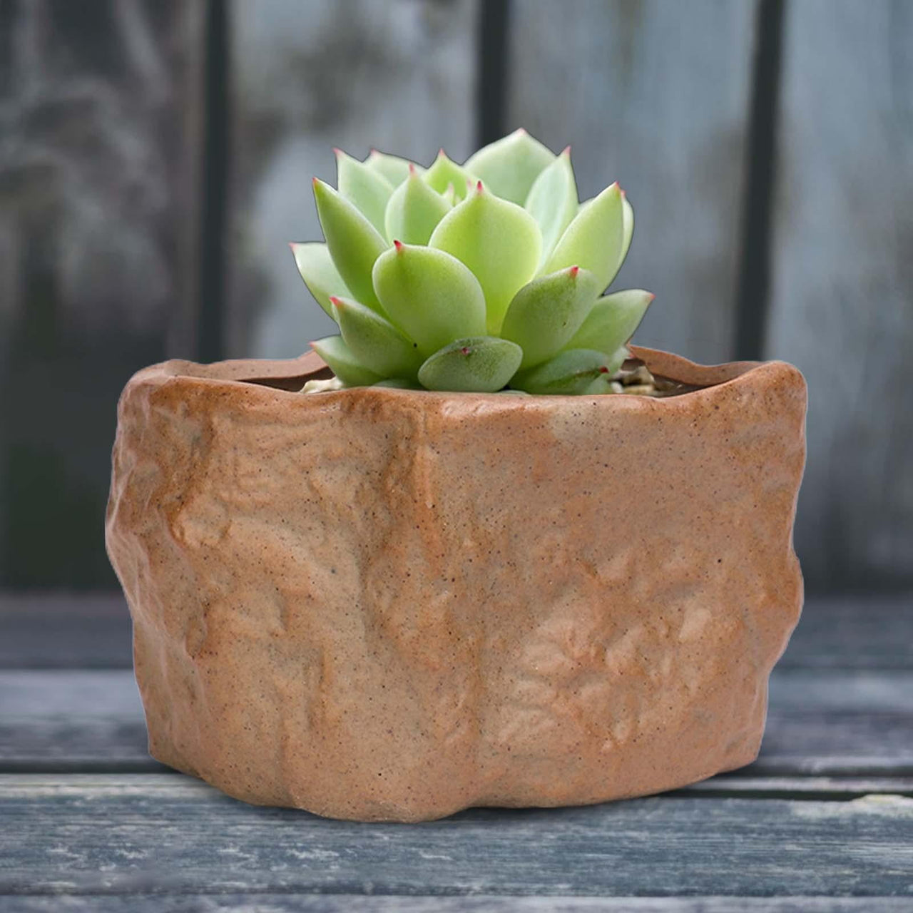 Ceramic Pot Plants Growing Pot Modern Style Planter with Drainage Hole Bonsai Plants Pot for Home Outdoor Desk Festival Decoration Style B and Large