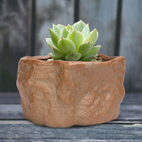 Ceramic Pot Plants Growing Pot Modern Style Planter with Drainage Hole Bonsai Plants Pot for Home Outdoor Desk Festival Decoration Style B and Large