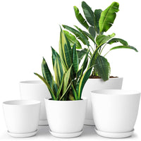 FOUKUS Set of 5 White Plastic Plant Pots with Drainage Holes and Tray - Eco-Friendly Indoor/Outdoor Flower Planters for Succulents, Cactus, Snake Plants - Sizes: 7
