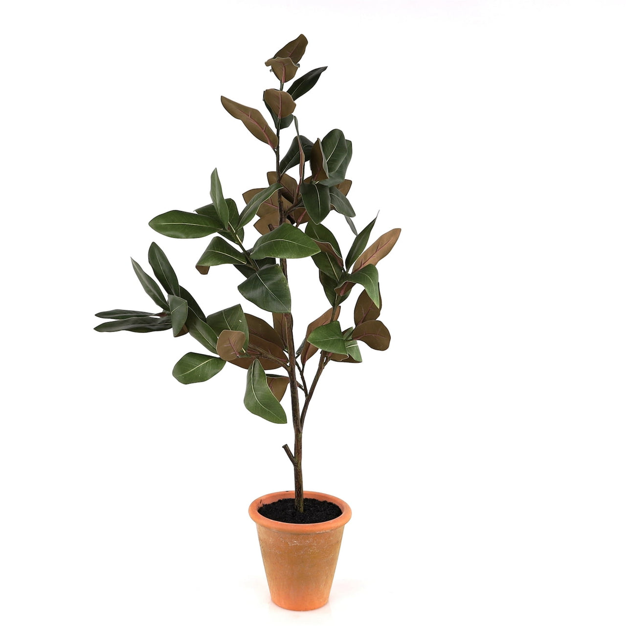 Melrose International Potted Magnolia Sapling 41"H Polyester/Terra Cotta