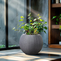 LuxenHome 14.5