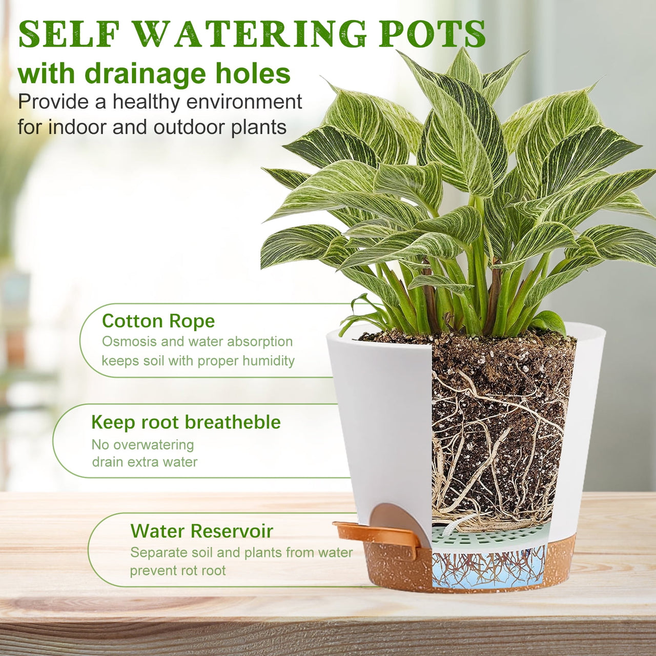 Remiawy Self Watering Plant Pots with Drainage Hole, 8/7/6.5/6/5.5/5 Inch Self Watering Planters for Indoor Outdoor Plants , White Plastic Flower Pots 6 Packs