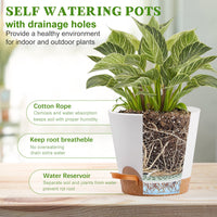 Remiawy Self Watering Plant Pots with Drainage Hole, 8/7/6.5/6/5.5/5 Inch Self Watering Planters for Indoor Outdoor Plants , White Plastic Flower Pots 6 Packs