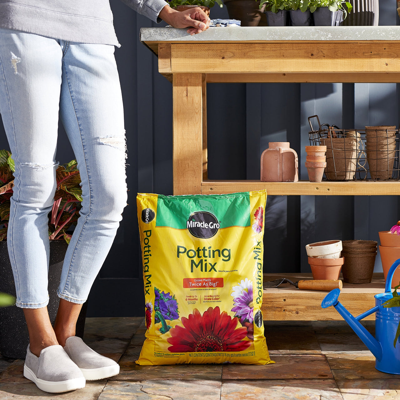 Miracle-Gro Potting Mix, For Container Plants, Flowers, Shrubs, 16 qt.