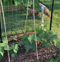 Garden Craft 24in H x 50ft L Gray Chicken Wire with 1in Openings