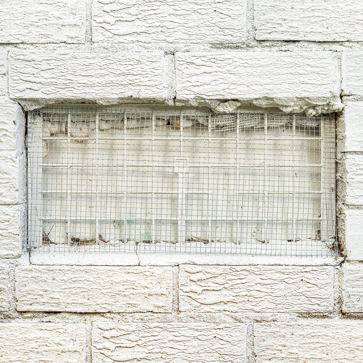 Garden Craft 24 in. H x 5 ft. L Gray Steel Hardware Cloth with 1/4 in. Openings, Wire Mesh Fence