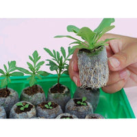 Luxcidy 40 Pcs Peat Pellet - 30mm Plant Pallet Seedling Soil Block, Plant Starting Plugs Peat Pellets Bulk for Plant Starter Pellet, Transplanting Growing Garden Flower Vegetables