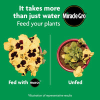 Miracle-Gro Shake 'N Feed All Purpose Plant Food, Use In Ground and Containers, 4.5 lbs.