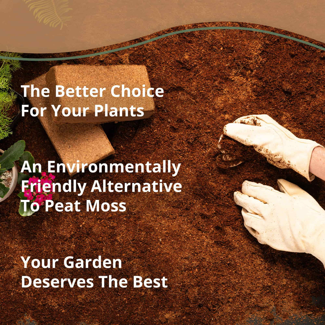 Plantonix Coco Bliss Premium Coconut Coir Pith Soil Amendment, 5 Bricks, 1.6 cu ft