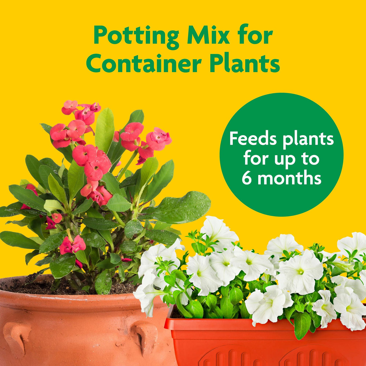 Miracle-Gro Potting Mix, For Indoor or Outdoor Potted Plants, Flowers, Shrubs, 25 qt.