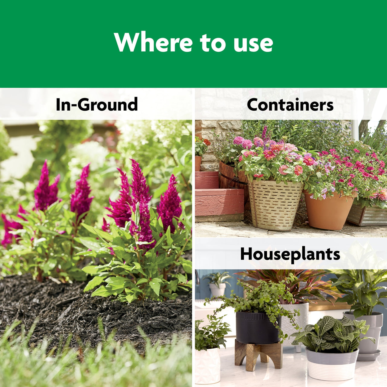 Miracle-Gro Shake 'N Feed All Purpose Plant Food, Use In Ground and Containers, 4.5 lbs.
