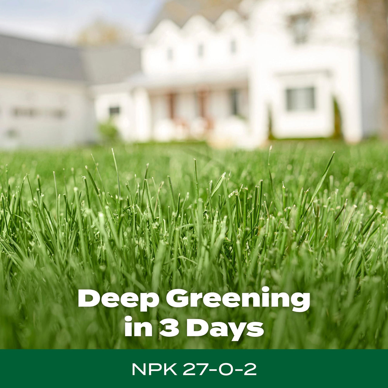 Scotts Green Max Lawn Food, Fertilizer Plus Iron Supplement, 5,000 sq. ft., 16.67 lbs.