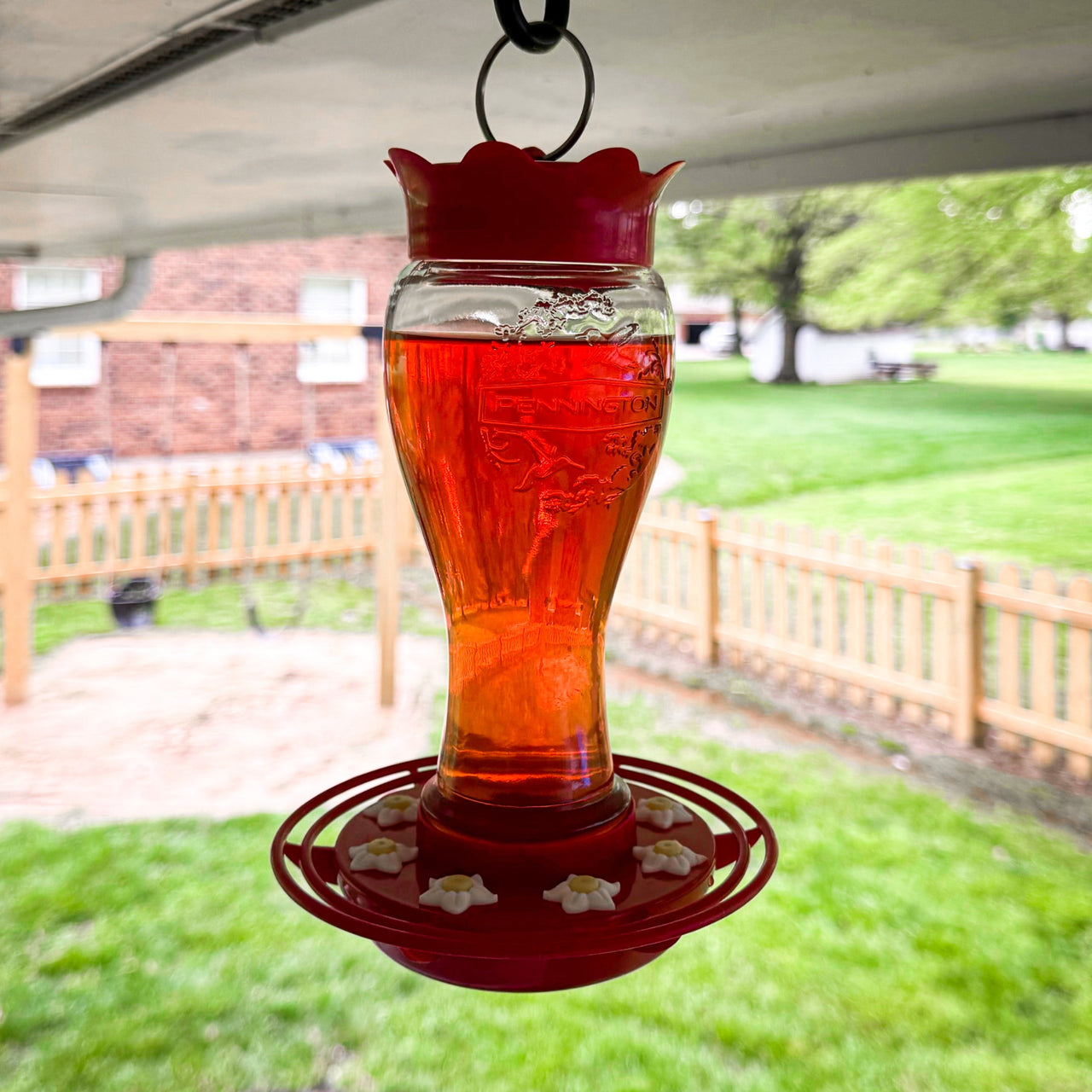 Pennington Glass Red Hummingbird Feeder, 16 oz Nectar Capacity